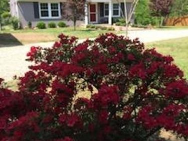 2600 EARLYSVILLE RD, Earlysville, VA 22936