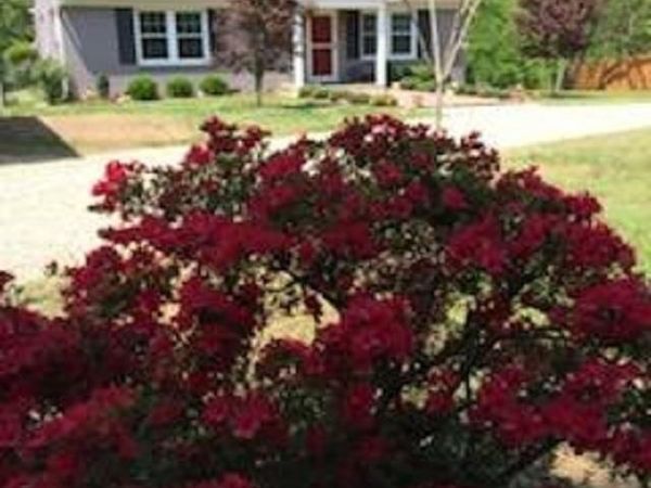 2600 EARLYSVILLE RD, Earlysville, VA 22936