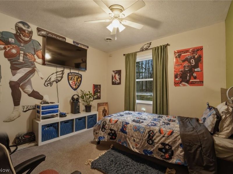 2204 Deer Run, Rock Creek, OH 44084 Photo 22