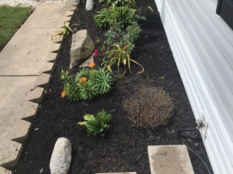 4223 Keller Hanna Drive, Brunswick, OH 44212 Photo 11