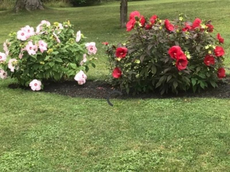 4223 Keller Hanna Drive, Brunswick, OH 44212 Photo 13