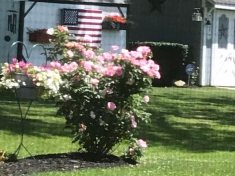 4223 Keller Hanna Drive, Brunswick, OH 44212 Photo 14