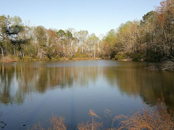 35 Barwick Kea Road, Adrian, GA 31002