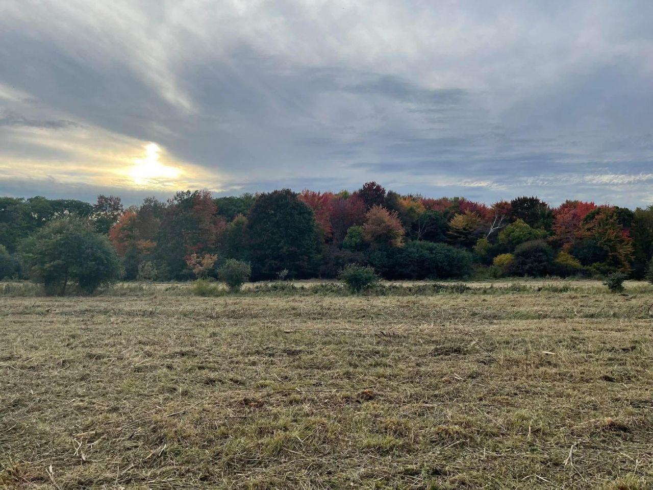 21333 Durant Street NE, East Bethel, MN 55011