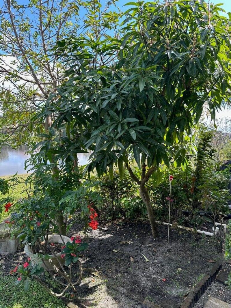 9861 Galleon Drive, West Palm Beach, FL 33411 Photo