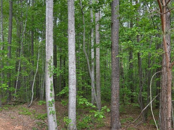 7300 Bay Cove Court , Denver, NC 28037