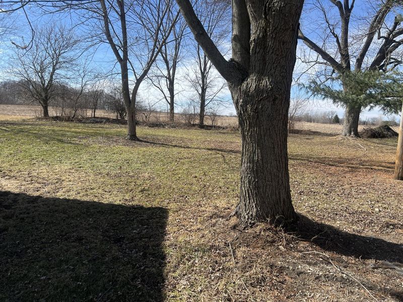 533 N Westminster Street, Waynesfield, OH 45896 Photo 10