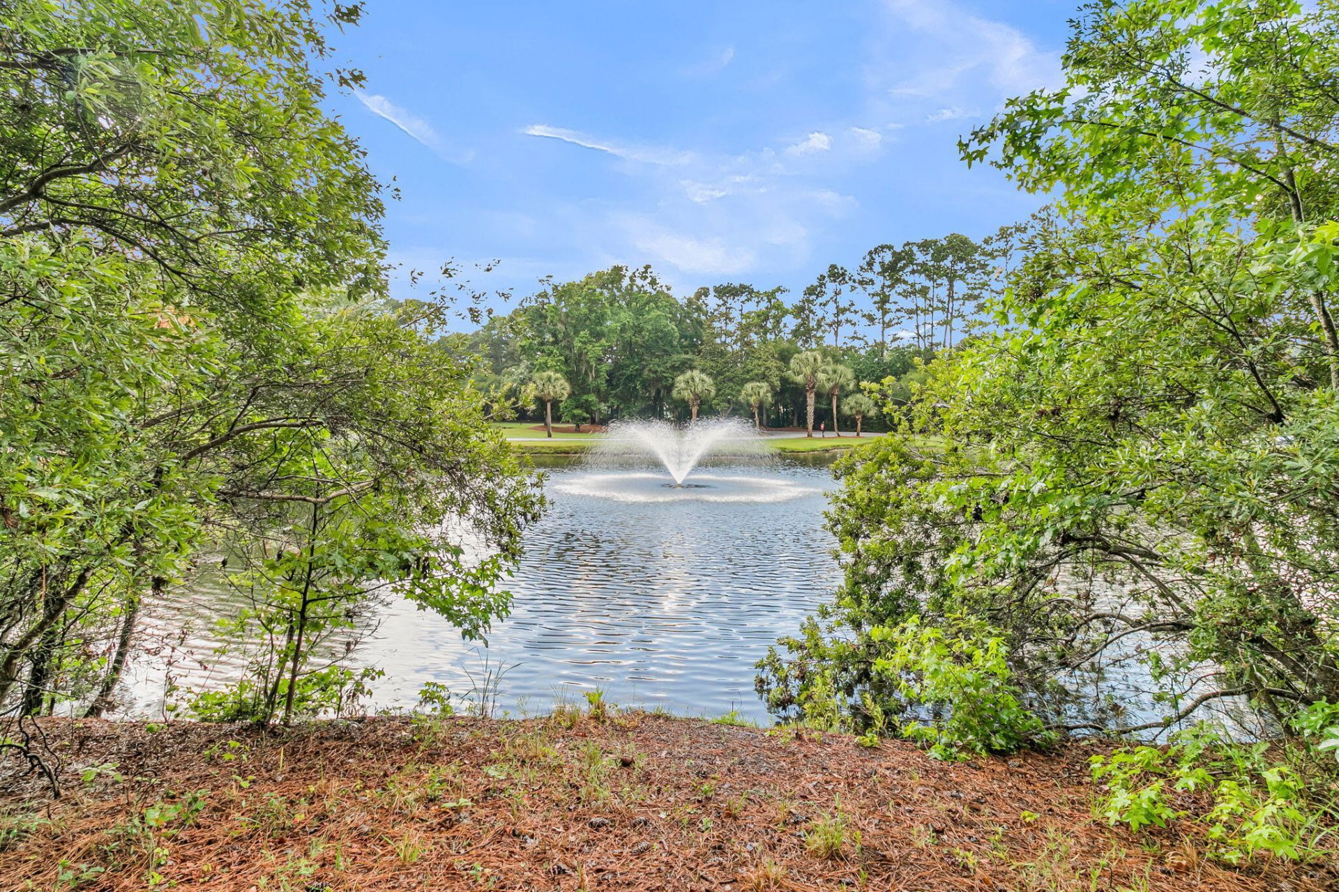 4791 Stono Links Drive Photo 5