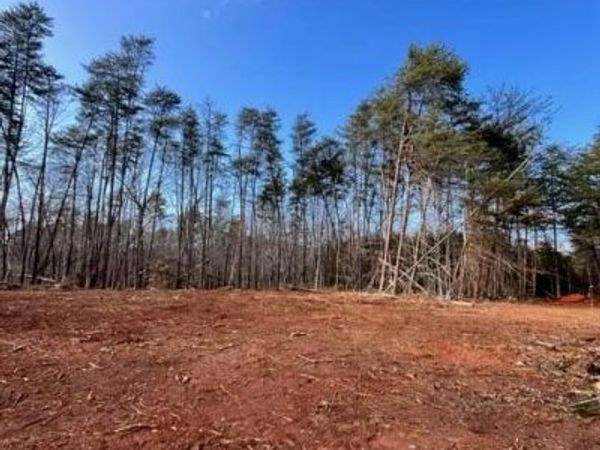 0 McDaniel Road , Pilot Mountain, NC 27041