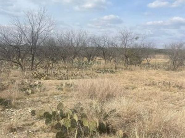 TBD County Road 221, Brookesmith, TX 76827