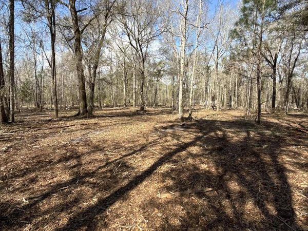 1190 JONES Lane, Lawtey, FL 32058