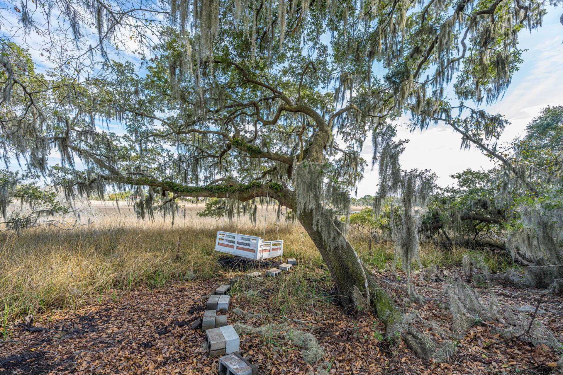 5315 Frisco Lane Photo 74