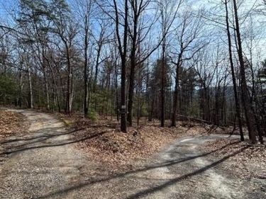 301 ABBOTTS LANE, RILEYVILLE, VA 22650