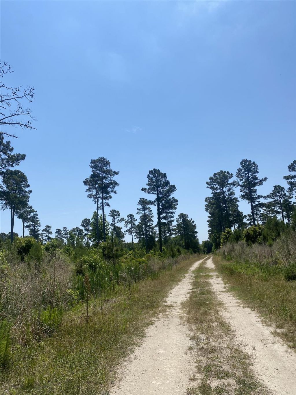Tbd Water Tower Rd. Photo 10