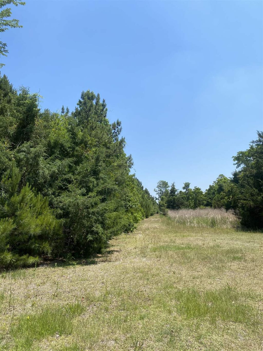 Tbd Water Tower Rd. Photo 14