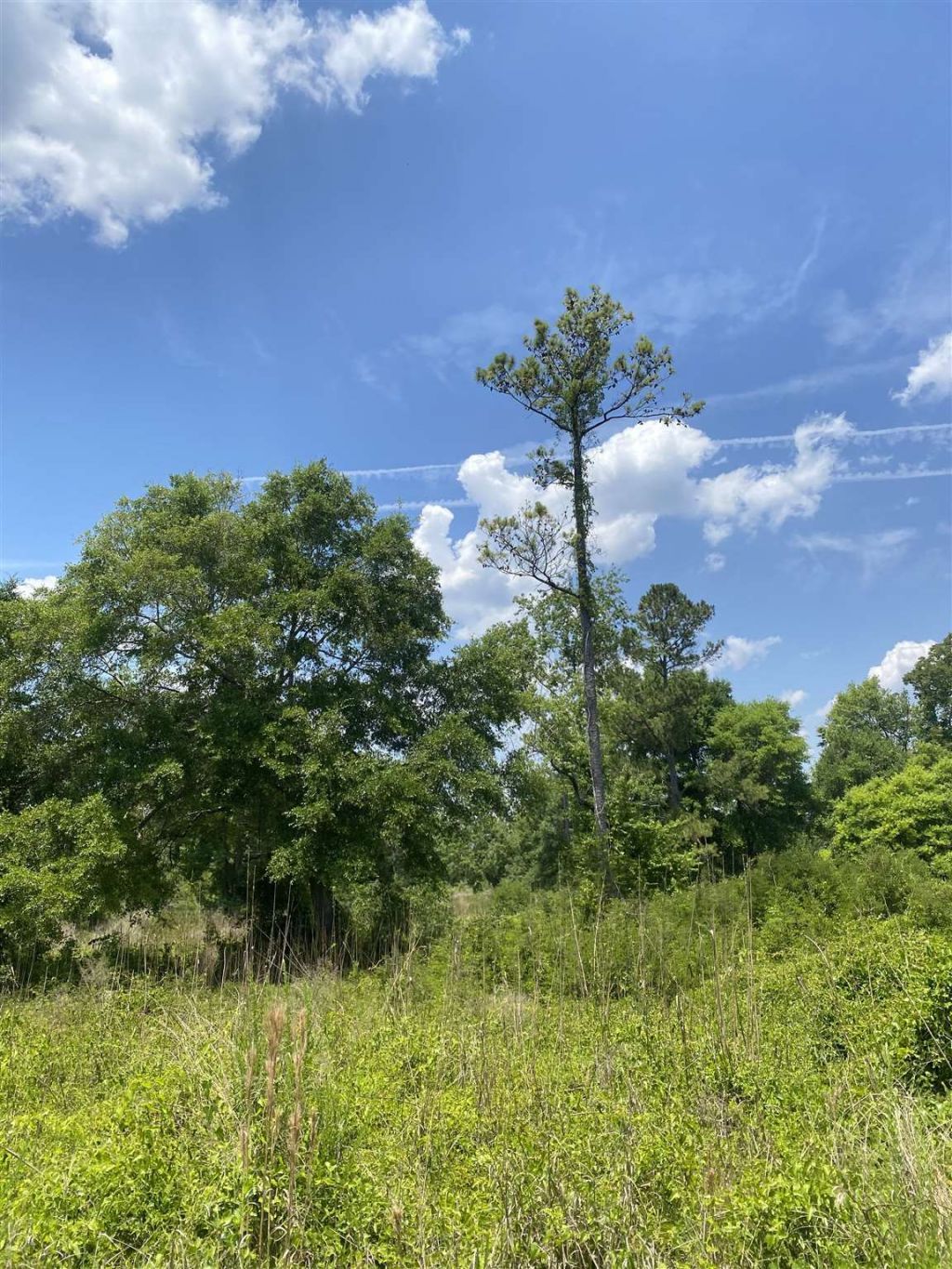 Tbd Water Tower Rd. Photo 15