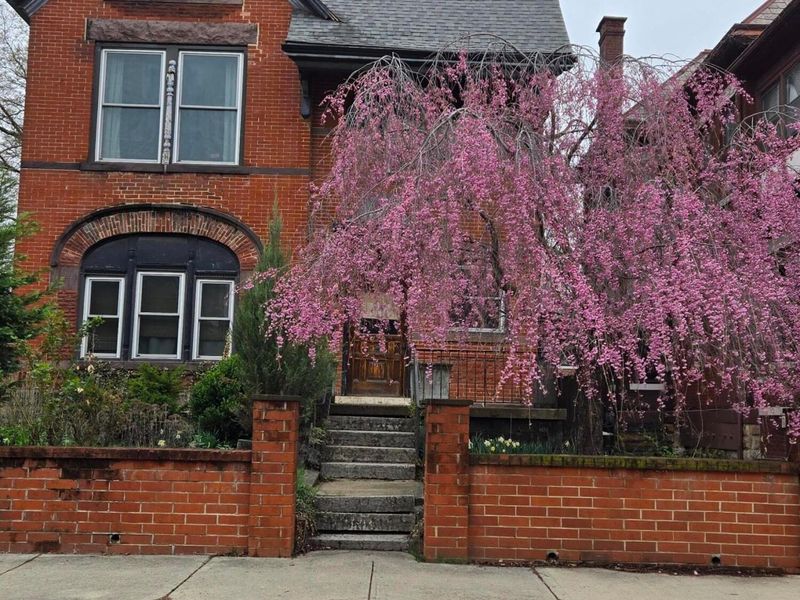 726 Franklin Avenue , Columbus, OH 43205 Photo 11