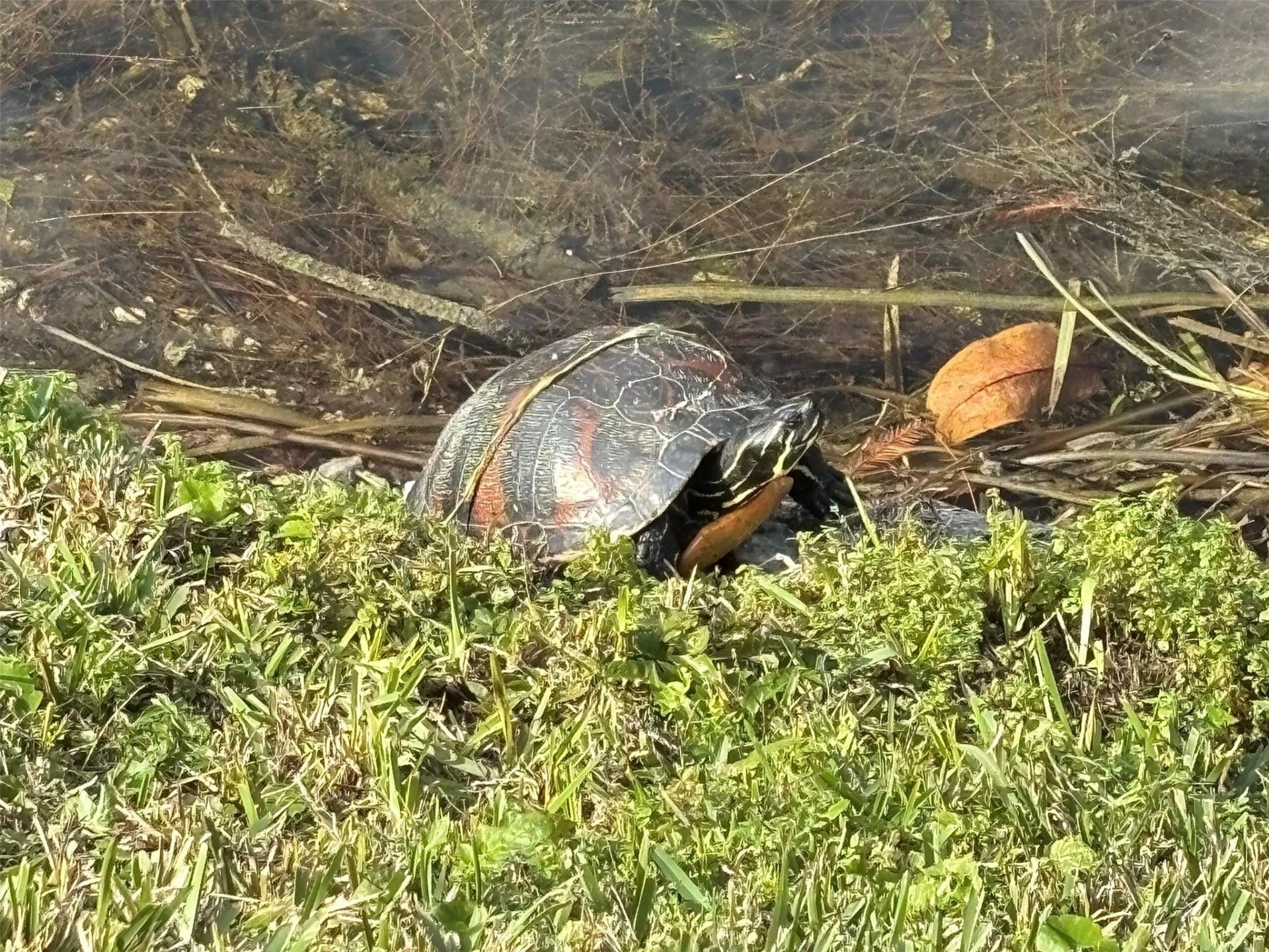 2819 NW 52nd Court, Tamarac, FL 33309 Photo