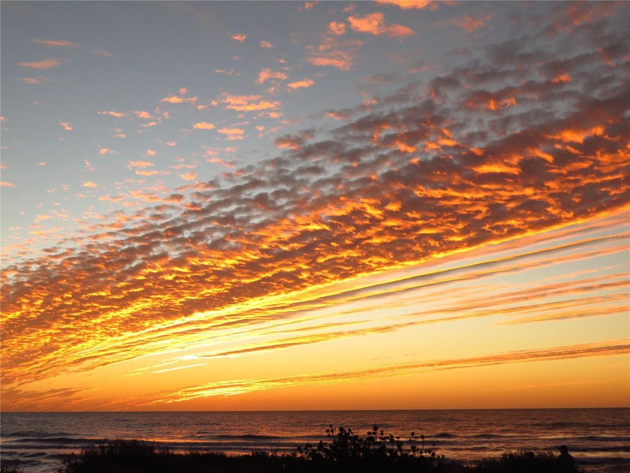 337 Harbor Drive S, Venice, FL 34285 Photo