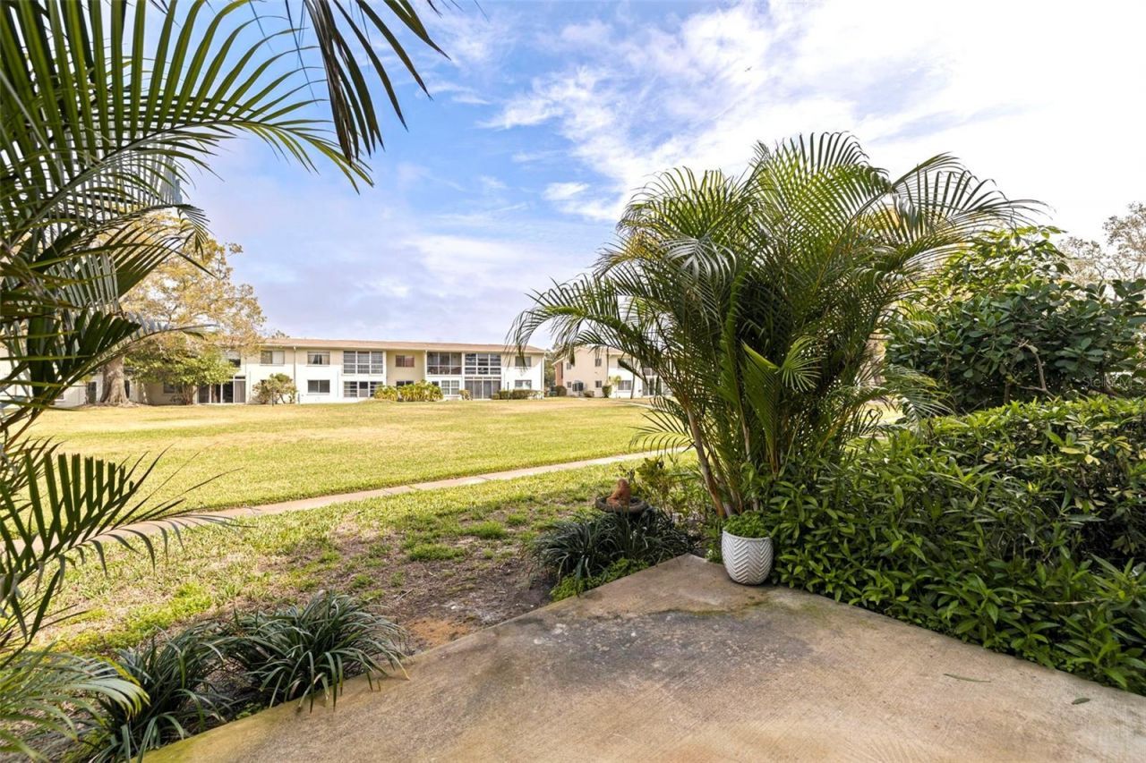 4480 Overlook Drive Ne, Unit 12, Saint Petersburg, FL 33703 Photo