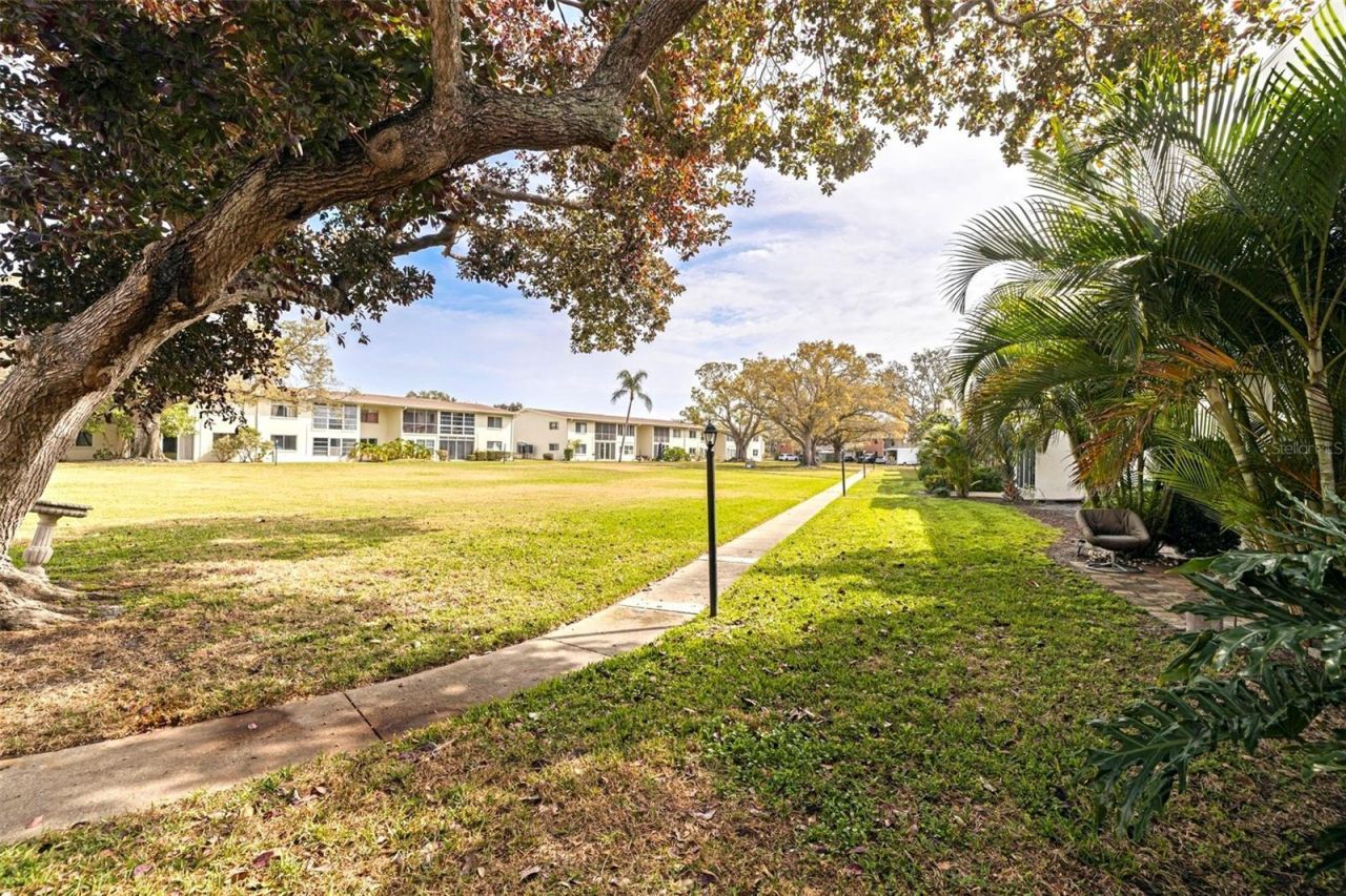 4480 Overlook Drive Ne, Unit 12, Saint Petersburg, FL 33703 Photo