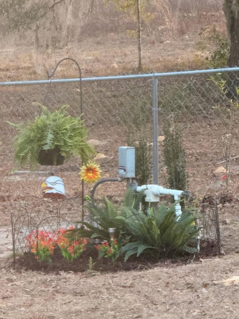 1336 NE 154th Avenue , Williston, FL 32696 Photo