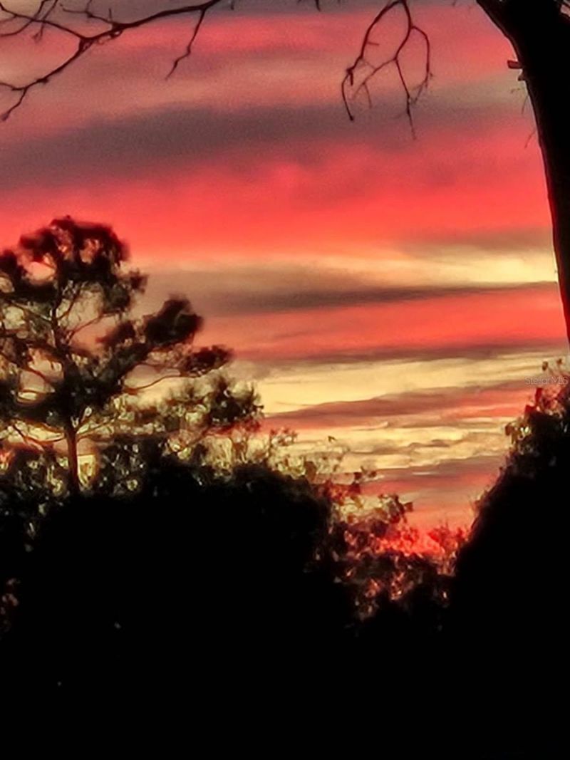 1336 NE 154th Avenue , Williston, FL 32696 Photo