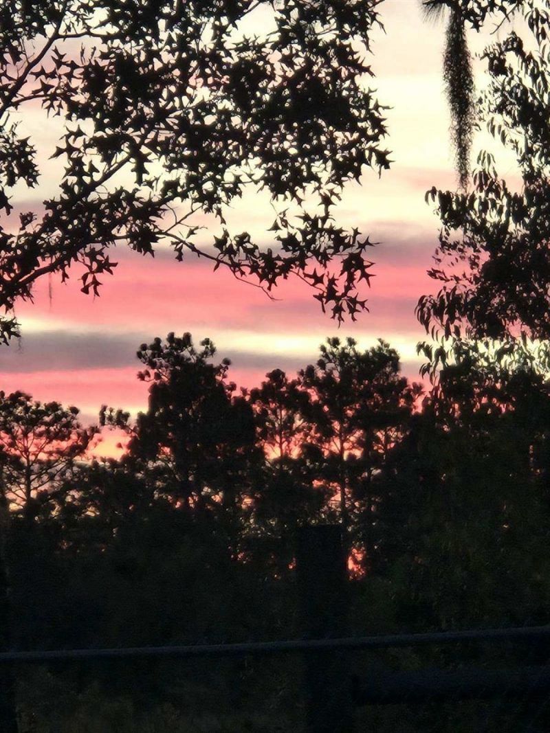 1336 NE 154th Avenue , Williston, FL 32696 Photo