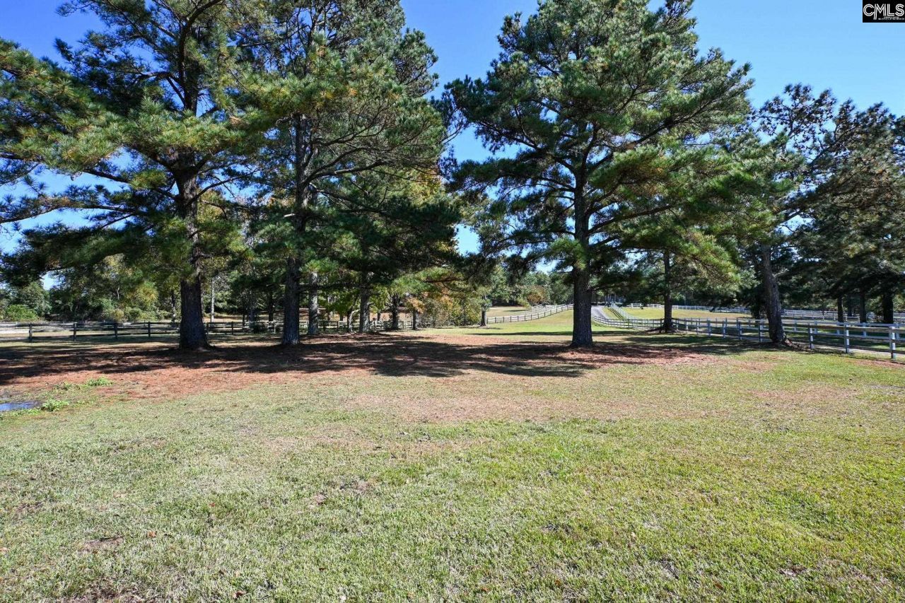 225 Pisgah Court  Photo 63