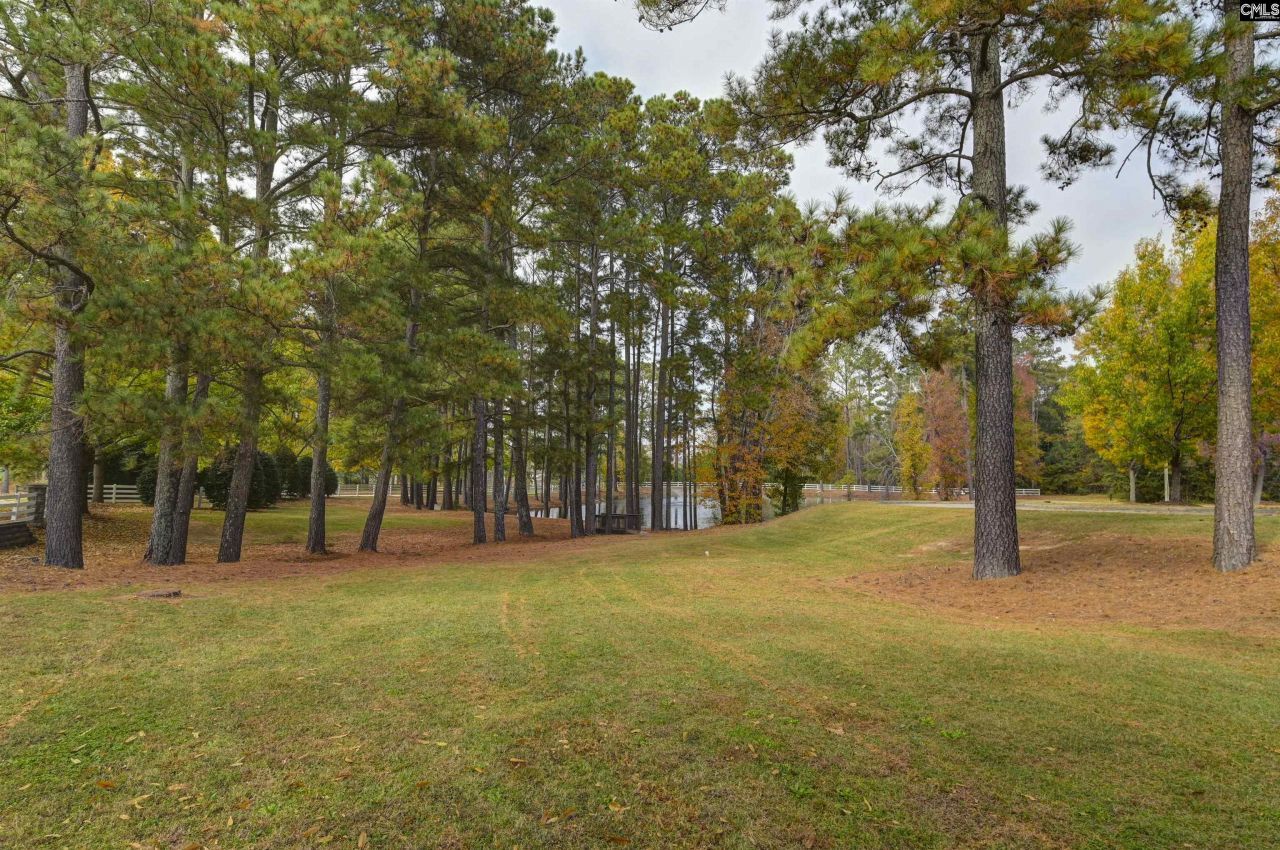 112 Feather Site Lane  Photo 52