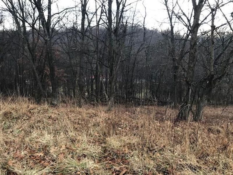 277 Merry Wood Drive NE, Newark, OH 43055 Photo 2