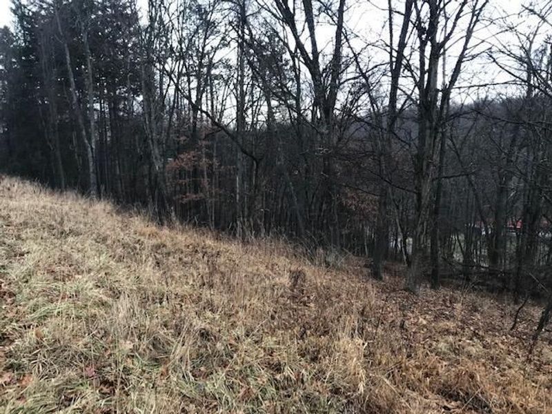 277 Merry Wood Drive NE, Newark, OH 43055 Photo 4