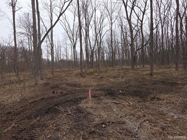 parcel D parcel D cullen rd, Hartland Twp, MI 48353