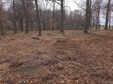 tbd Cohoctah Road, Deerfield Twp, MI 48430