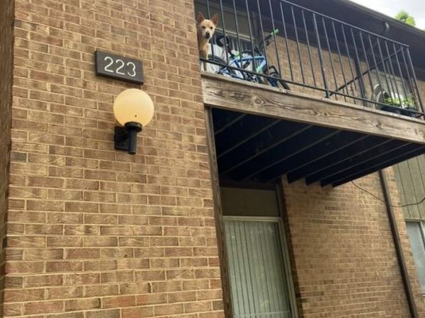 223 Orchard Trace Lane , Unit 5, Charlotte, NC 28213