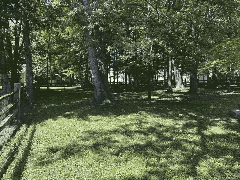 4578 Balmoral Drive, Union Twp, OH 45103 Photo 53