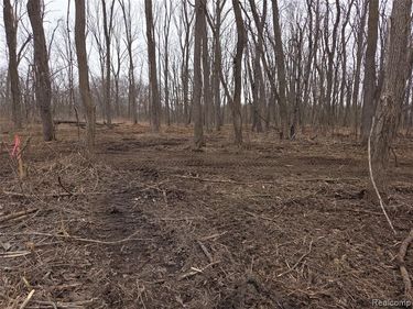 parcel B parcel B cullen rd Road , Hartland Twp, MI 48353