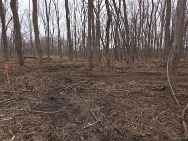 parcel C cullen rd cullen Road , Hartland Twp, MI 48353