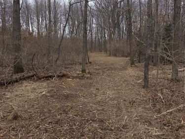 parcelA cullen rd cullen Road, Hartland Twp, MI 48353