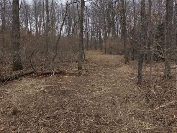 parcelA cullen rd cullen Road, Hartland Twp, MI 48353