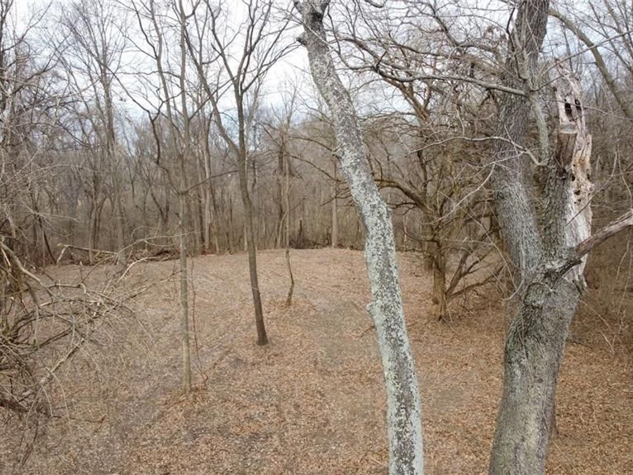 Property Image 17