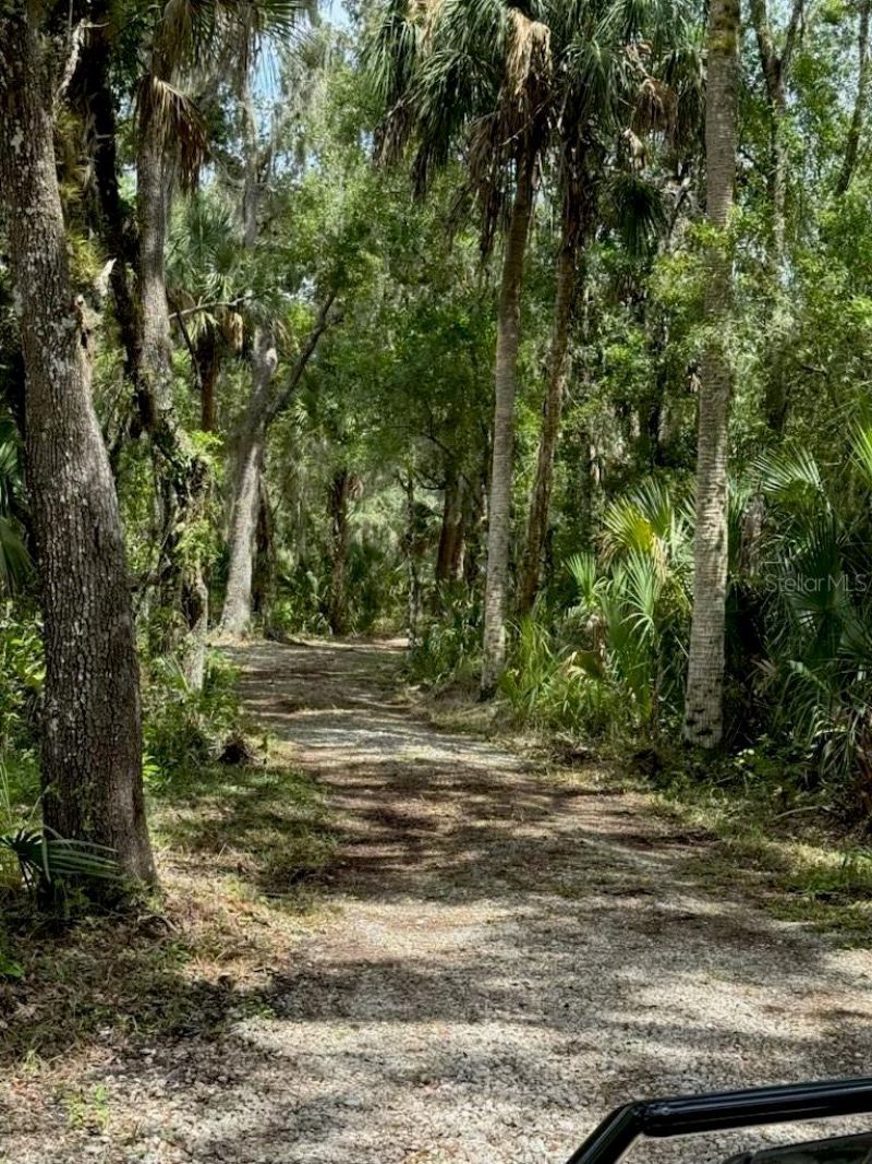 1040 Cracker Hammock , Sebring, FL 33875 Photo