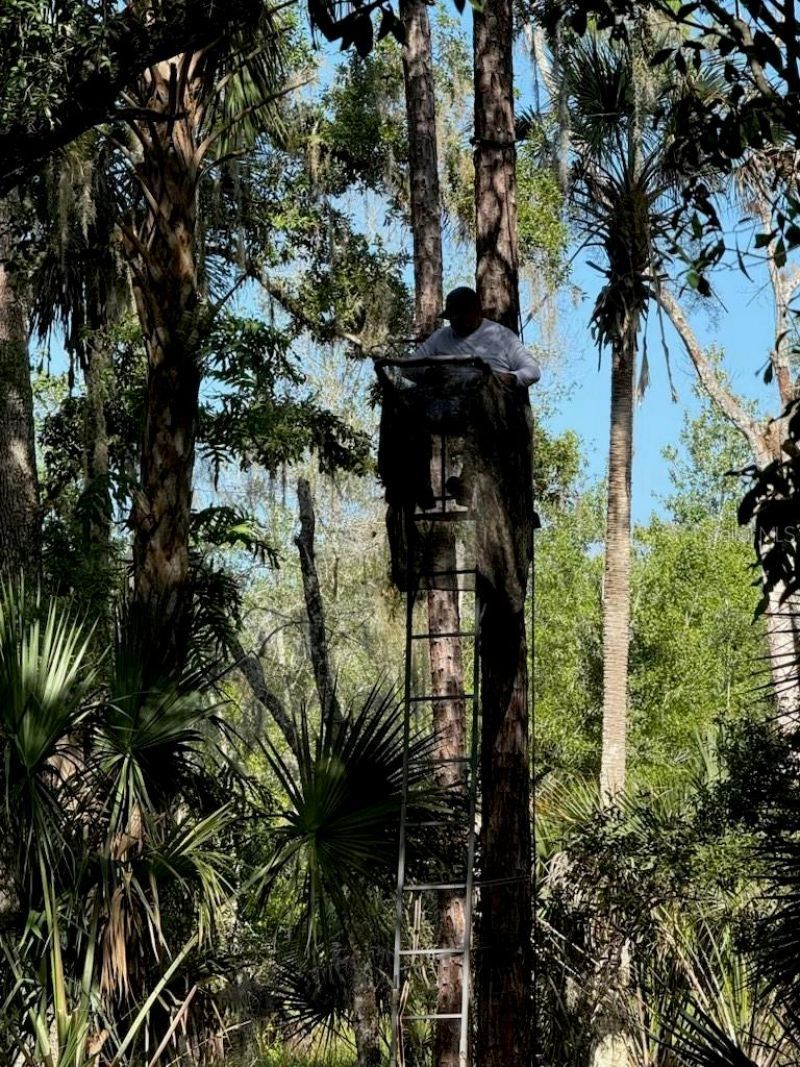 1040 Cracker Hammock , Sebring, FL 33875 Photo