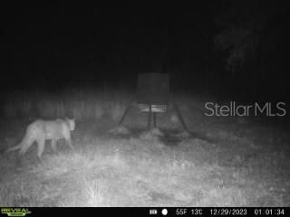 1040 Cracker Hammock , Sebring, FL 33875 Photo