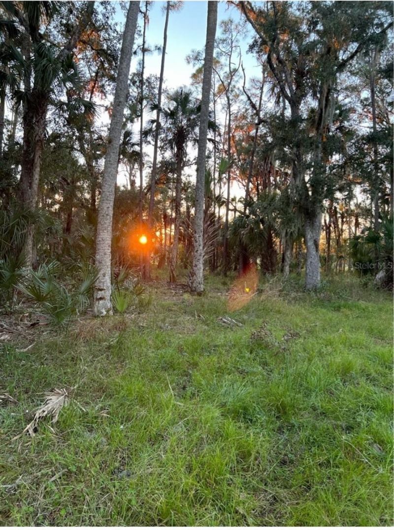 1040 Cracker Hammock , Sebring, FL 33875 Photo