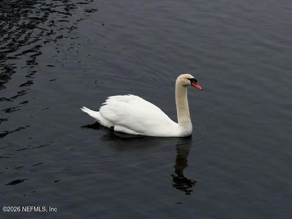 26 FOX VALLEY Drive, Orange Park, FL 32073