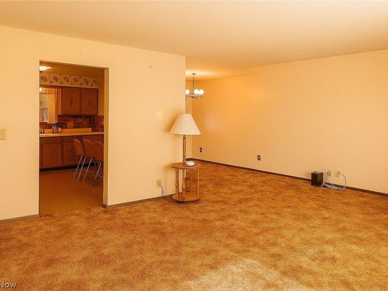 3795 Bramblewood Drive, Brunswick, OH 44212 Photo 6