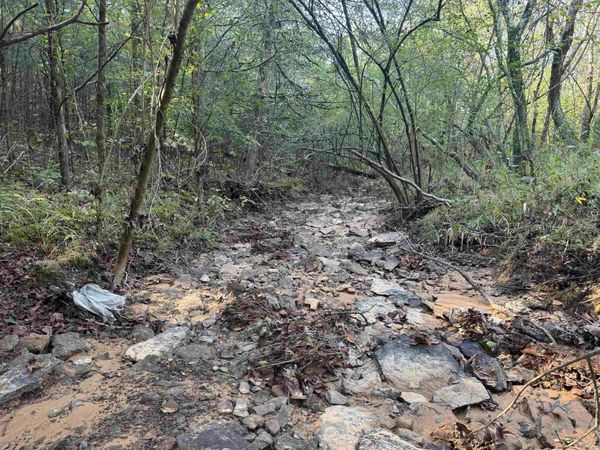 00 Long Branch Lane , Bee Branch, AR 72013