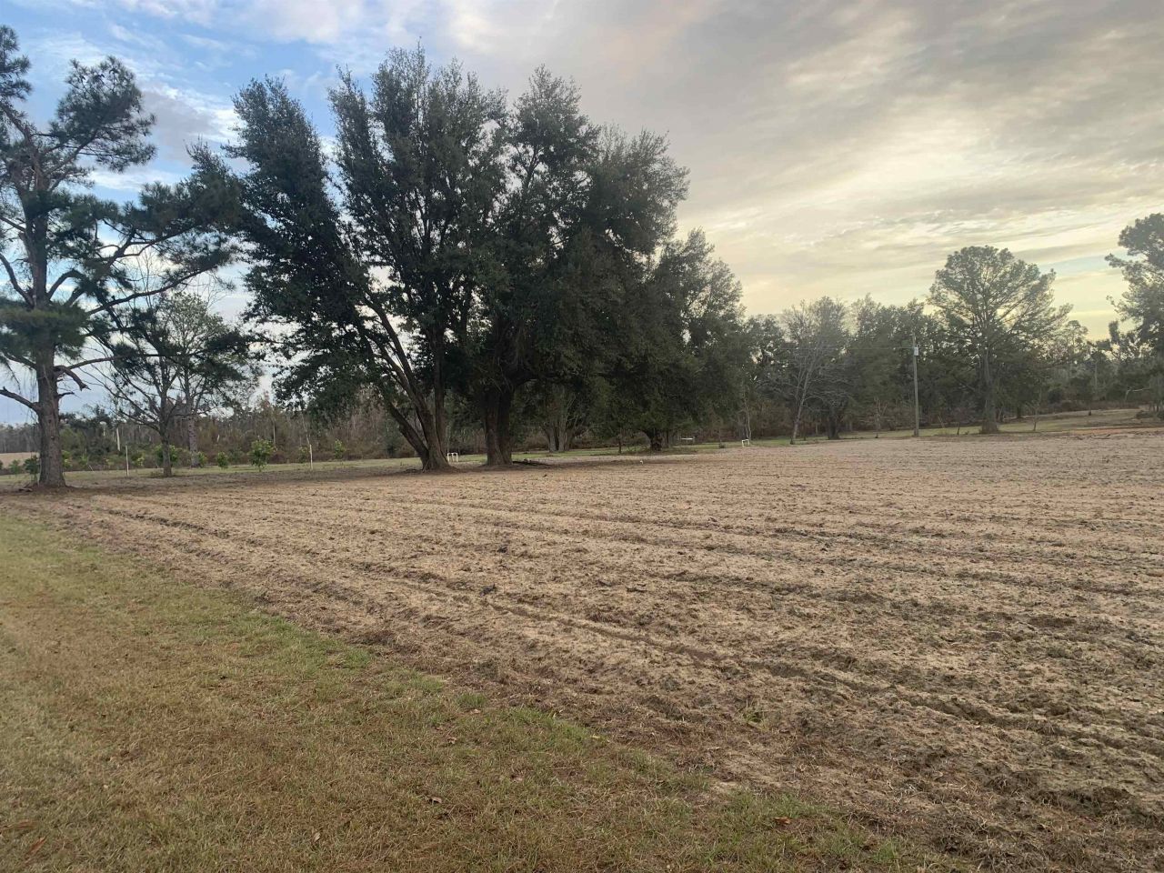 1701 SW Moseley Hall Road , Madison, FL 32340 Photo