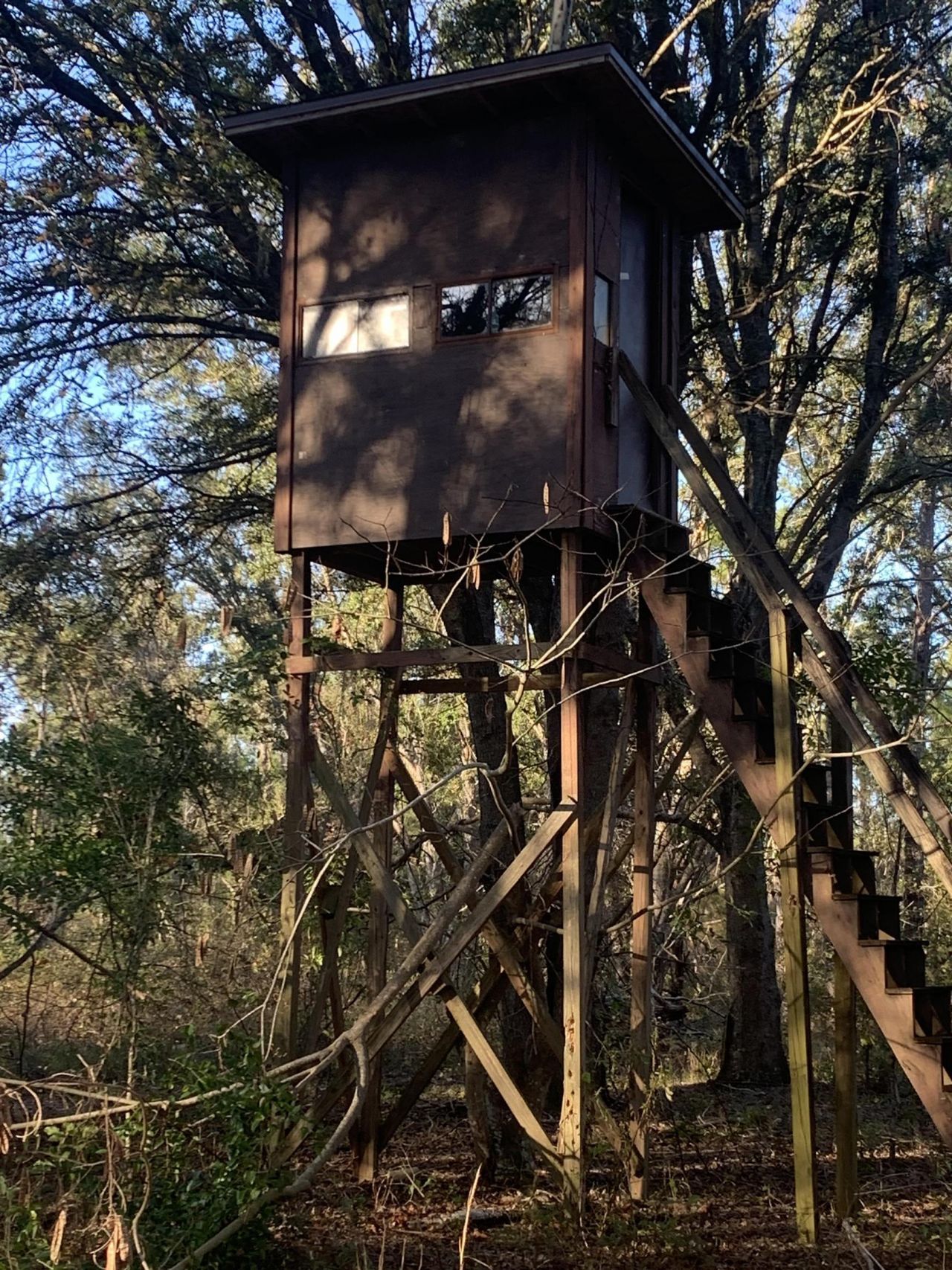 1701 SW Moseley Hall Road , Madison, FL 32340 Photo